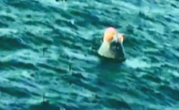 Embedded image permalink