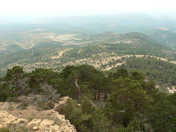 PoblesValAbando's tweet photo. Vista des del cim del Cabezo de las Cruces #CortesdeArenoso, tercer cim valencià de major altura. http://t.co/w2DOxYP12Q