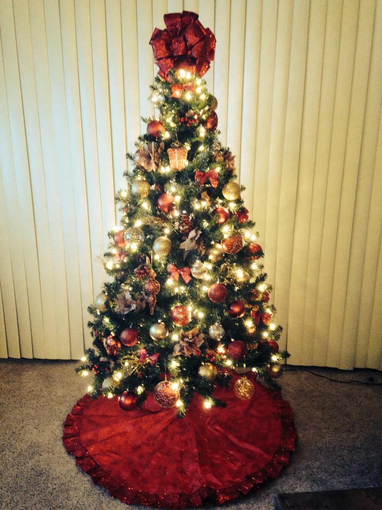 MandyLoves2Run's tweet photo. Nailed it. @RyanShano21 🎄🎅🎁 http://t.co/pq5QqKpj8Z
