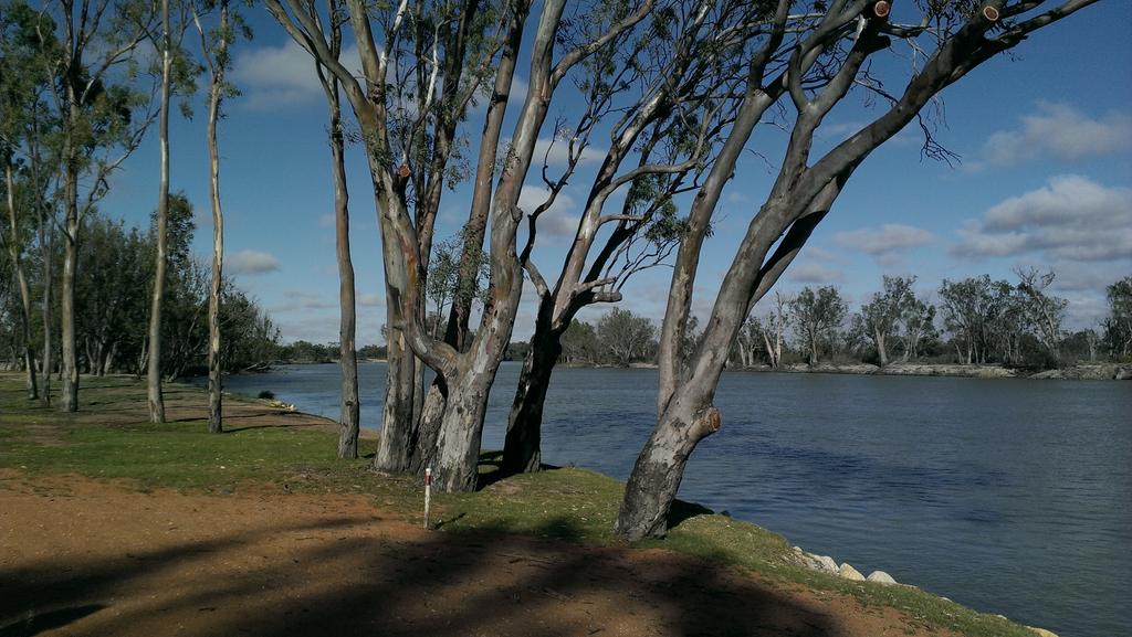 smithmelphysio's tweet image. Good morning Loxton #PD @BarossaPhysio @apaphysio #spinalpathologies