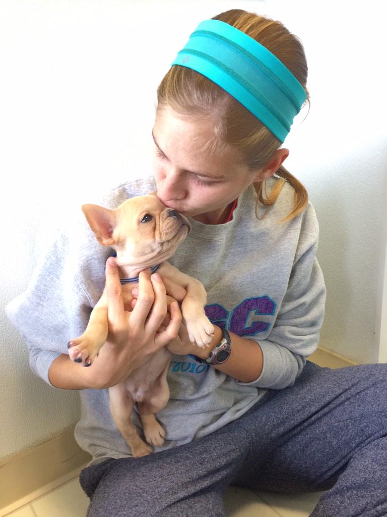 cheswhite's tweet photo. I'm obsessed #frenchieforever http://t.co/c6973wpODb