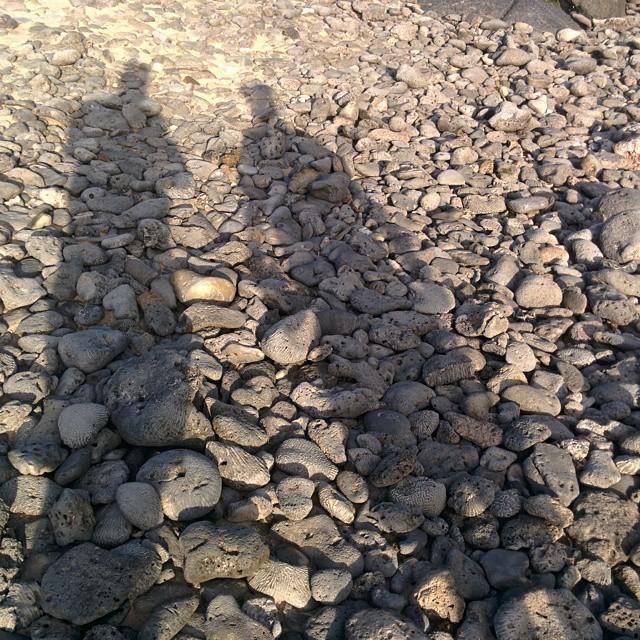 DanielRmos's tweet photo. De paseo por la costa norte de #Aruba  #sombras #vacaciones http://t.co/CKSzagVyr3