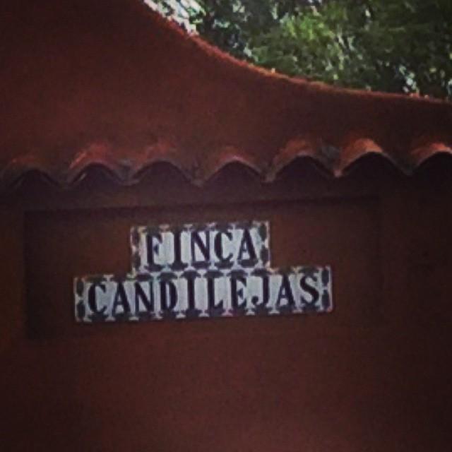 #FincaCandilejas #eventos #fiestas #promociones #retiros #findesemana #matrimonios #eventoscorporativos #catas #d...