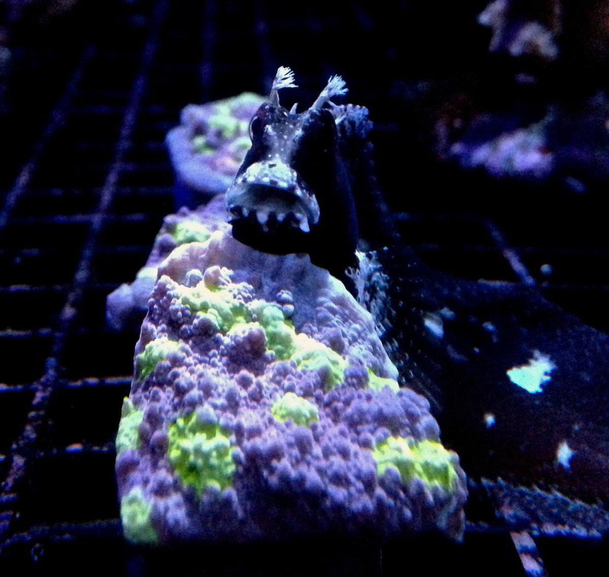 Holiday Season - 1m.ag/tB2db