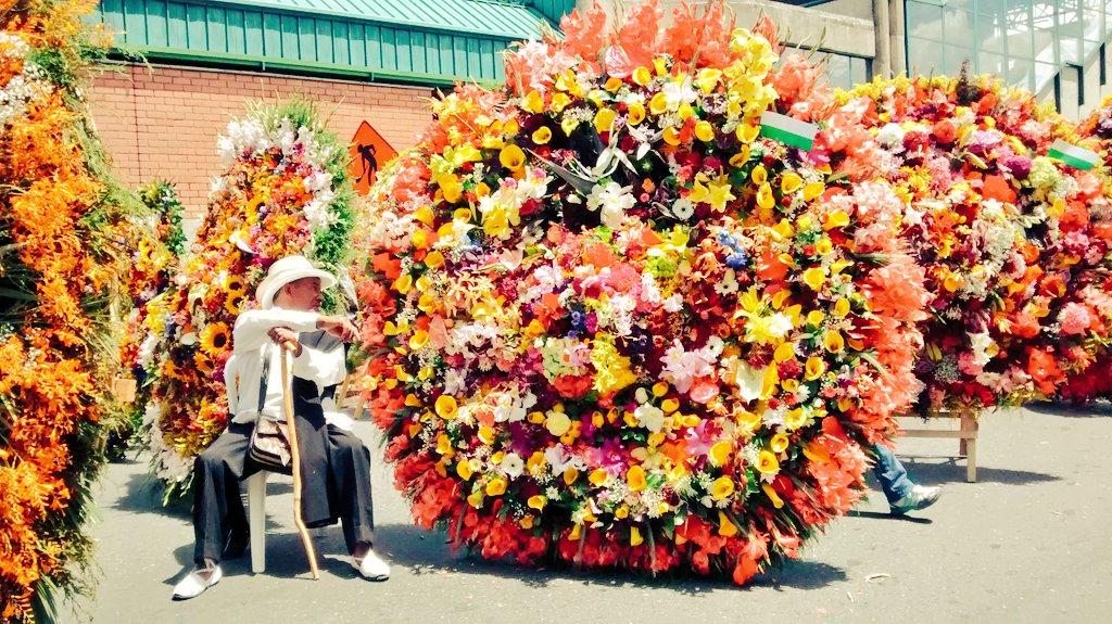 RCNMedellin's tweet image. Silleteros declarados patrimonio inmaterial de la nación