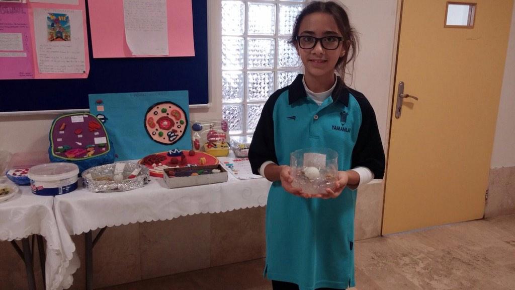 6. sınıf öğrencilerimizin hücre modeli sergisi...