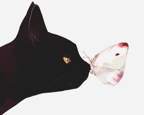 今年の運勢占い 運気up Sur Twitter 黒猫 蝶々 Rtで上昇する運気 復縁 恋愛運アップに 猫は人気運アップ 恋愛運アップ 黒猫は海外ではラッキーアイテムとして人気 蝶々は西洋では復活の意味があり復縁のお守り 新しい出会いも運んできてくれる