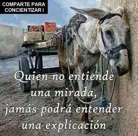 JoseRon3's tweet photo. 😢 RT @agustinarana: http://t.co/P9MgvuEc1G