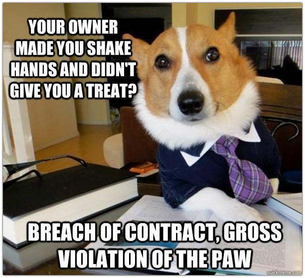 farahandfarah's tweet photo. #doglawyer http://t.co/HZ5hKsgYNq