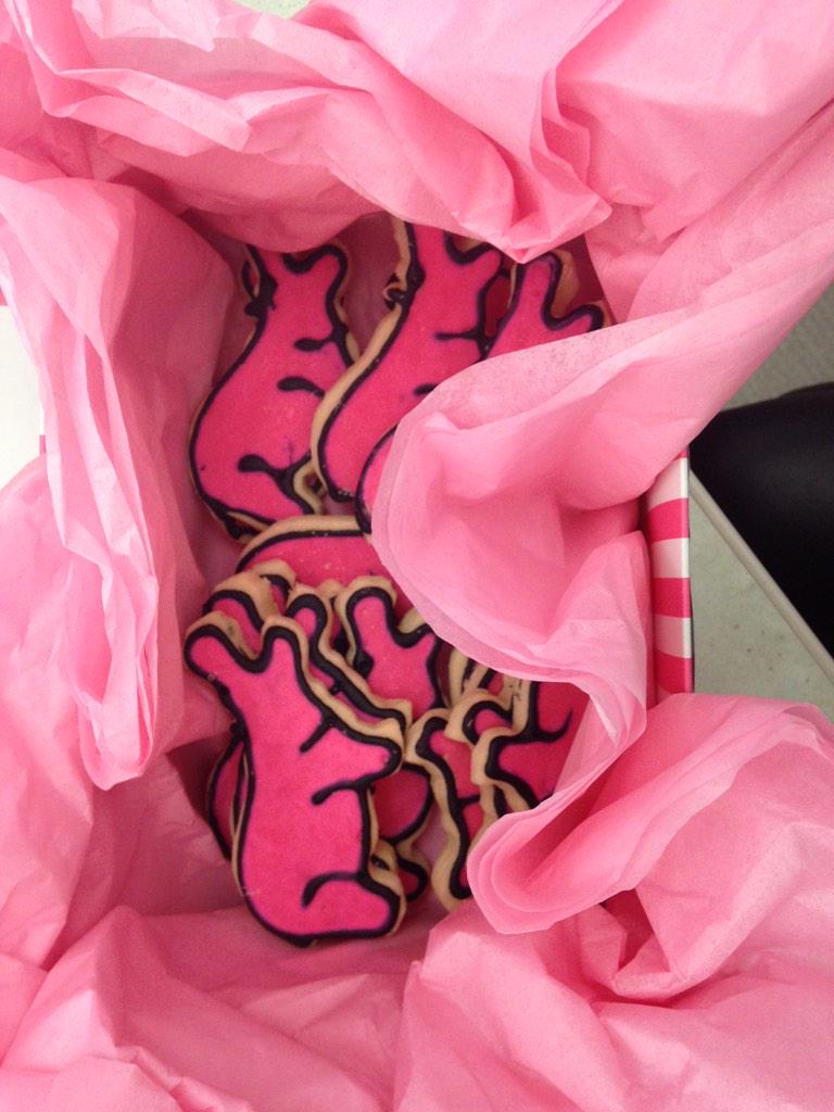 __AlexandraJ__'s tweet photo. So @zappos delivered the cutessttt PINK 🎀💗 hippo cookies to my department today ⛄️❄️🎄 #imtakingthemallhome #roseparde http://t.co/sUkOjR6xH3