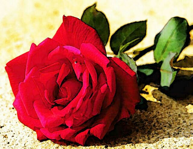 22Memo33's tweet photo. لكل هلالي إهداء مني 😘 http://t.co/y9W5gD1W1N