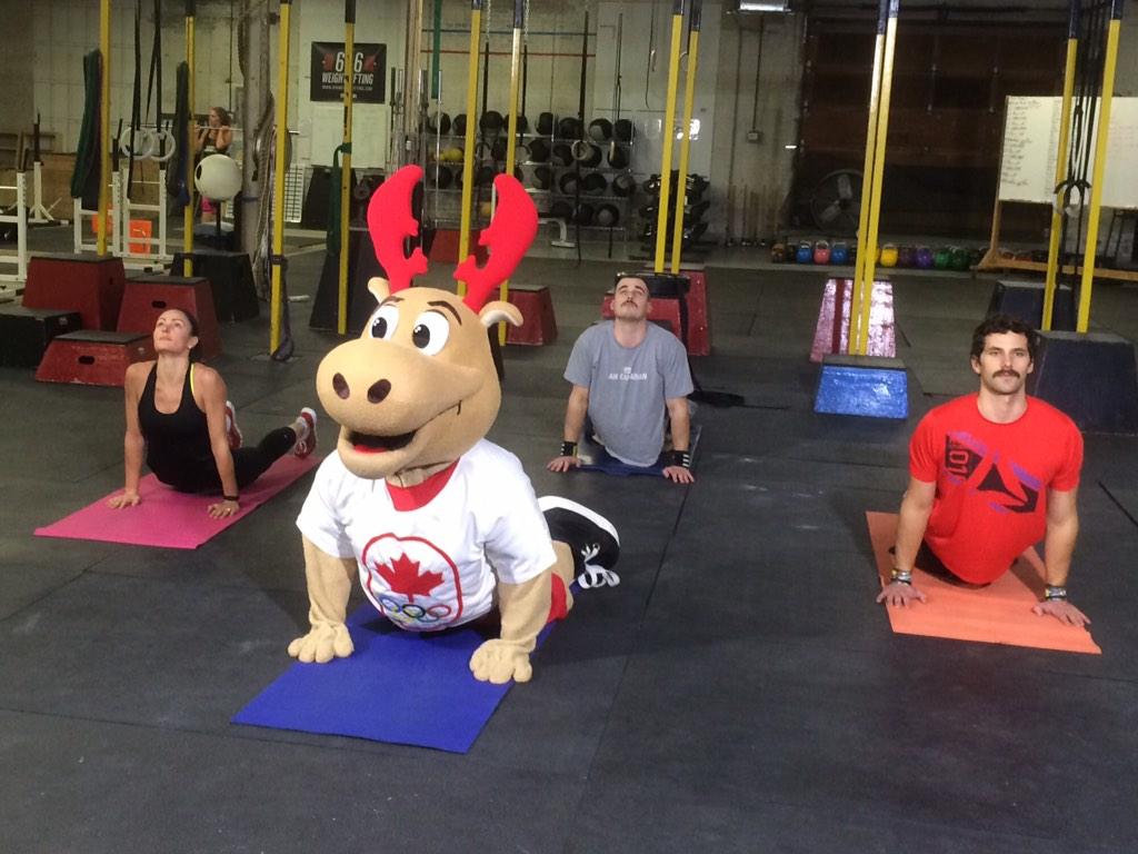 TeamCanada's tweet image. Replacing Rudolph is hard work. @Komak takes to "pilates-ing?" -&amp;gt; ow.ly/FeJdU | #ChooseTheMoose
