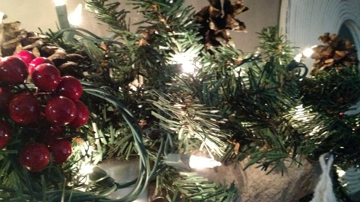 StadsBabyFarm's tweet image. #Christmas mantle. Love our #home! @Cameldoggz