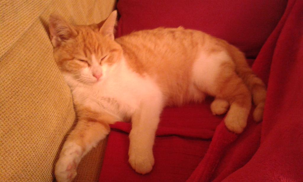 No sabría decir a quién me recuerda