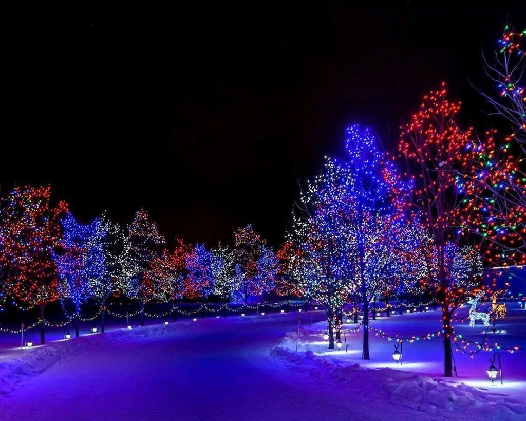 Absolutely Beautiful