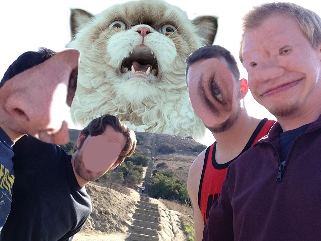 Embedded image permalink