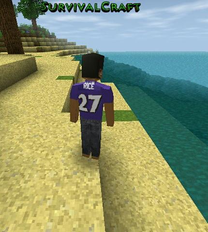 SpinnCraft's tweet image. Look #RayRice got abandoned on a #survivalcraft island