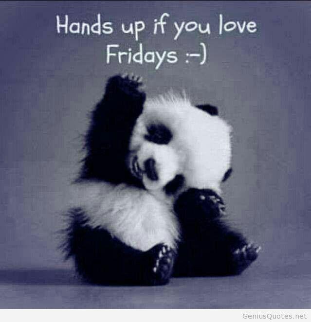 HIExpressAda's tweet image. It may be dreary outside, but that's ok, cause it's Friday!! Have a great weekend! #Friday #weekend #welovepandas