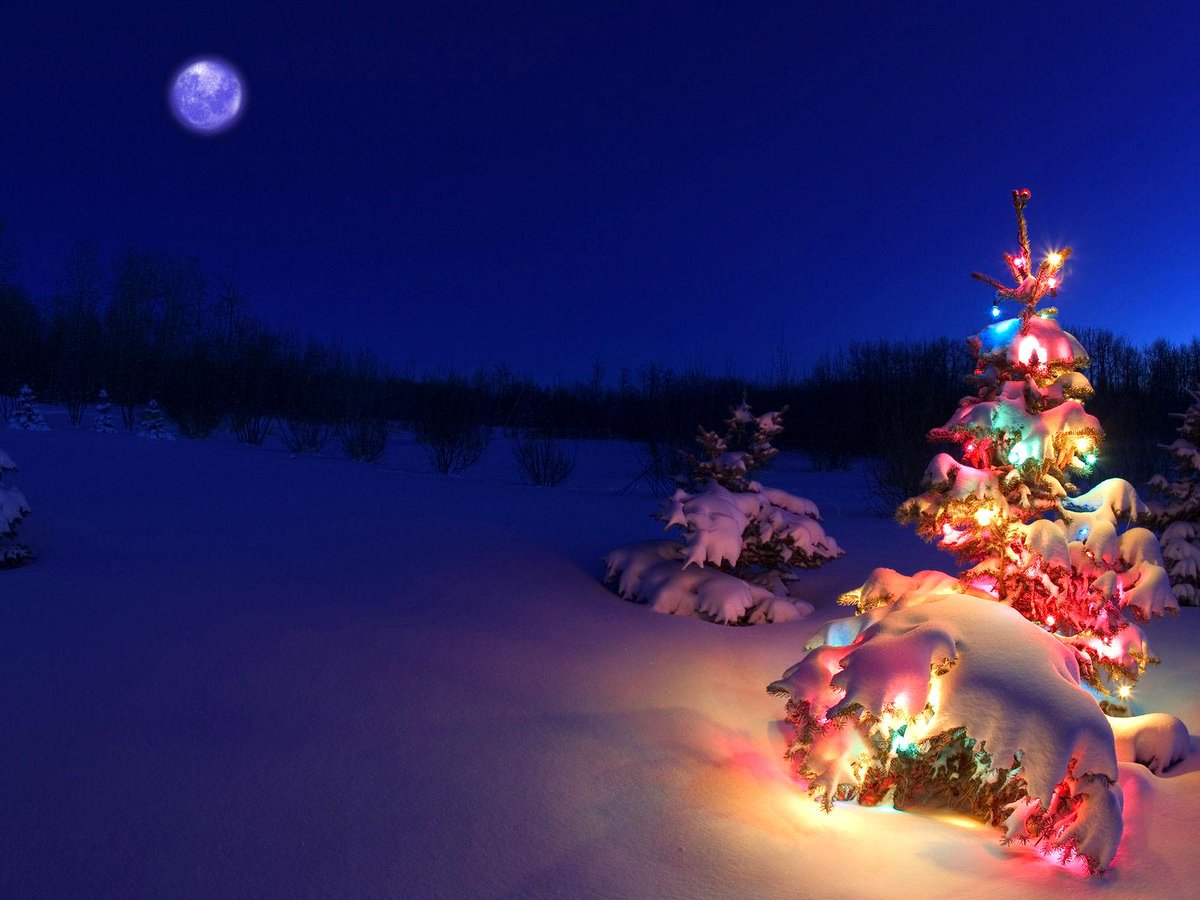 snowday's tweet photo. You better watch out, you better not cry, you better not pout I'm telling you why, Snow Day Farms is coming to town! http://t.co/NNqQ9cS7oG