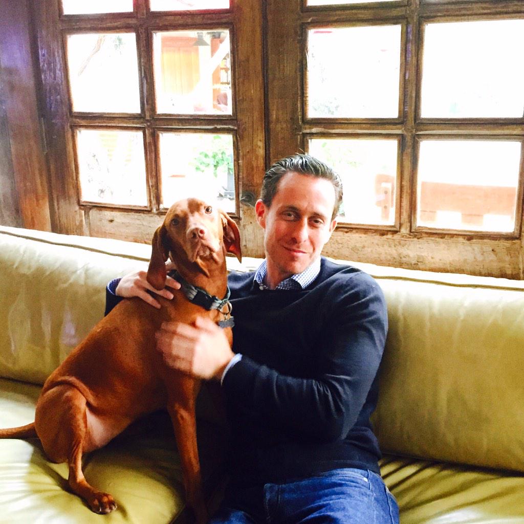 dparnes's tweet photo. Made a new friend named Alpine at our new listing in #BeverlyHills #BondStPartners #rescuedontbuy #MDLLA http://t.co/8J7VikzEcR