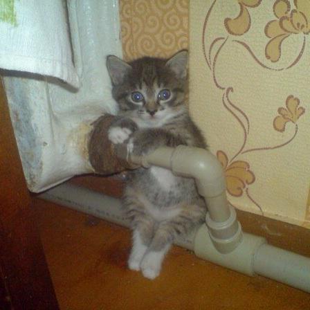 Стало что-то холодать :)))
