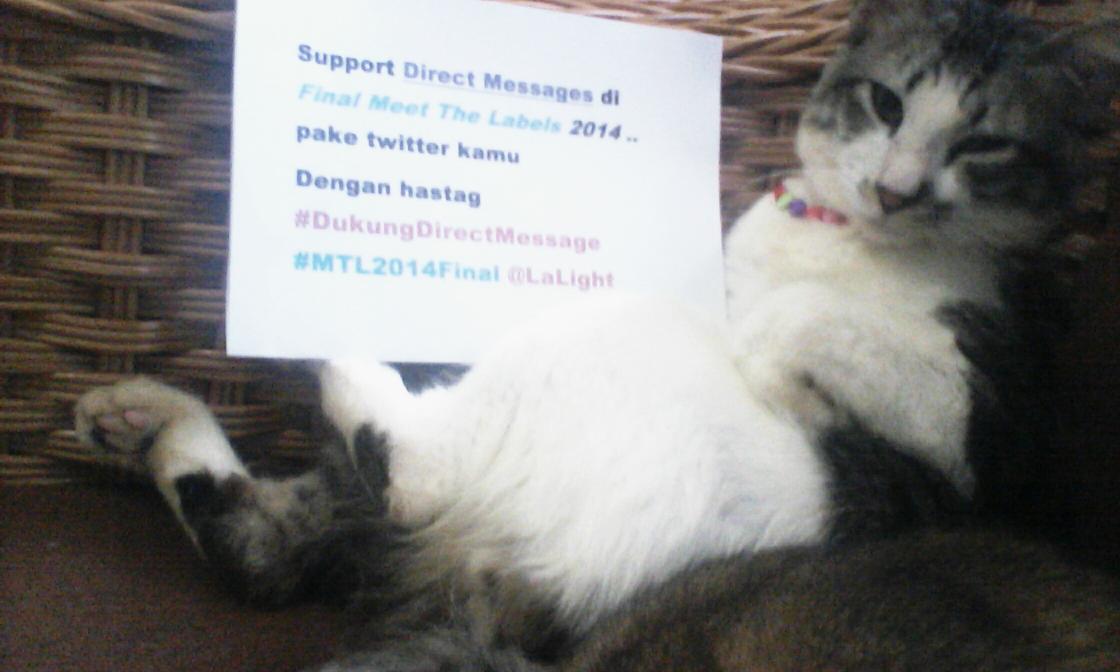 DirectMessageID's tweet photo. Kucing ini kece gk bro??  kalian masa kalah ama kucing #dukungDirectMessage #MTL2014Final @LAlights http://t.co/bGMXBsI3rA