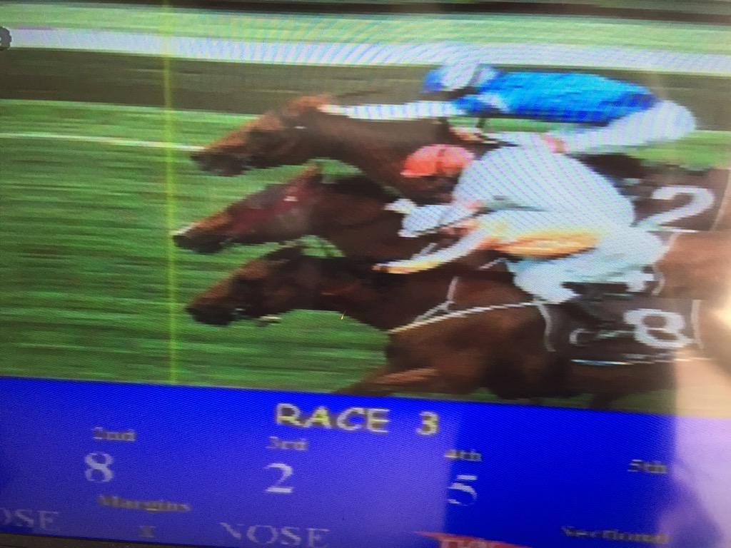 SkyOfftheRails's tweet photo. Off The Rails wins again! What a finish @rosehillgardens on @SkyRacingAU http://t.co/RbO0XWNCrh