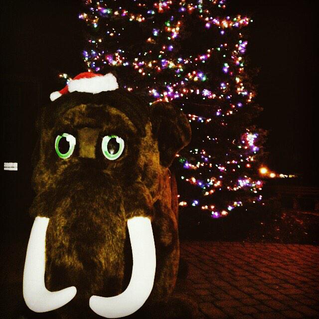 Wheaton CU tweet media