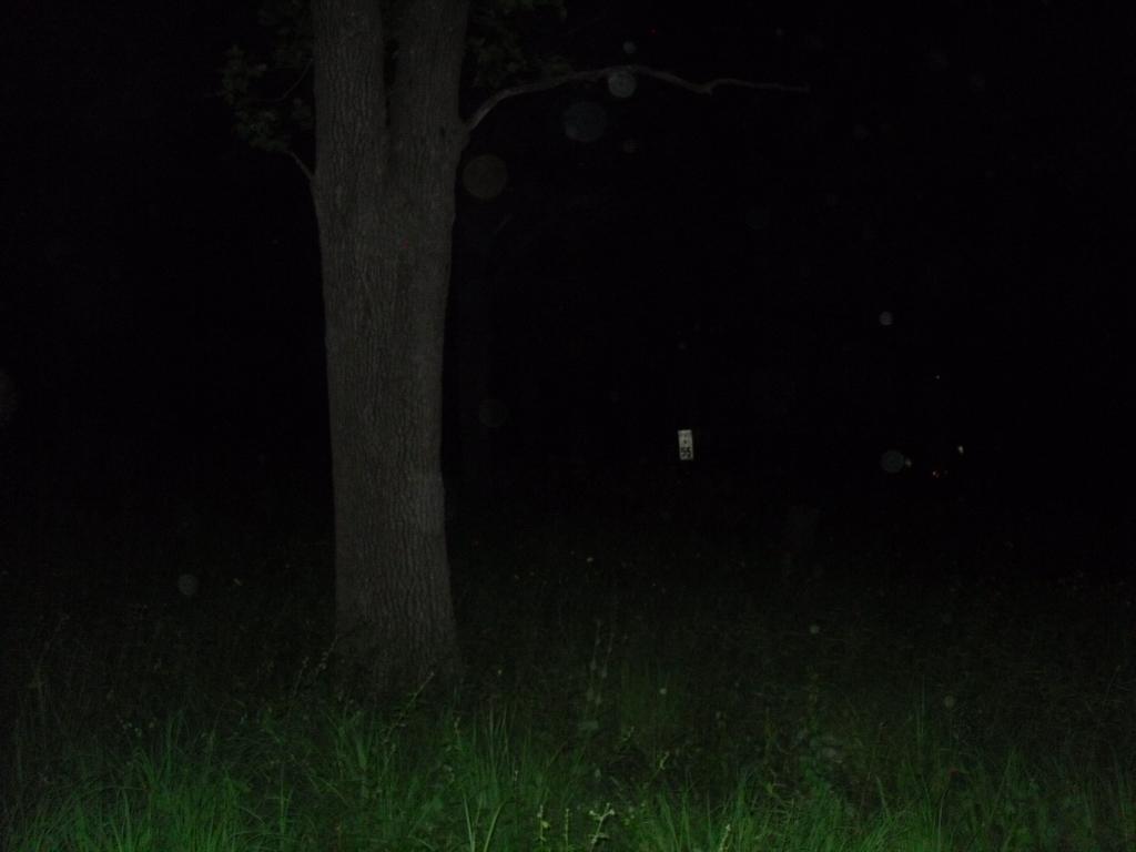 BLPI66's tweet image. 