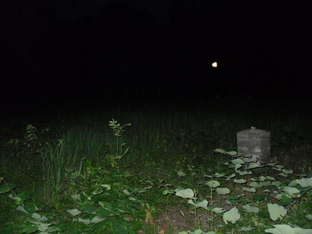 BLPI66's tweet image. 