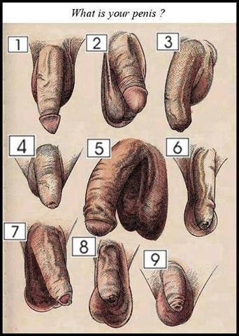 latinpapi52's tweet photo. Mmmm, which one are you ???? http://t.co/okgMRthjft
