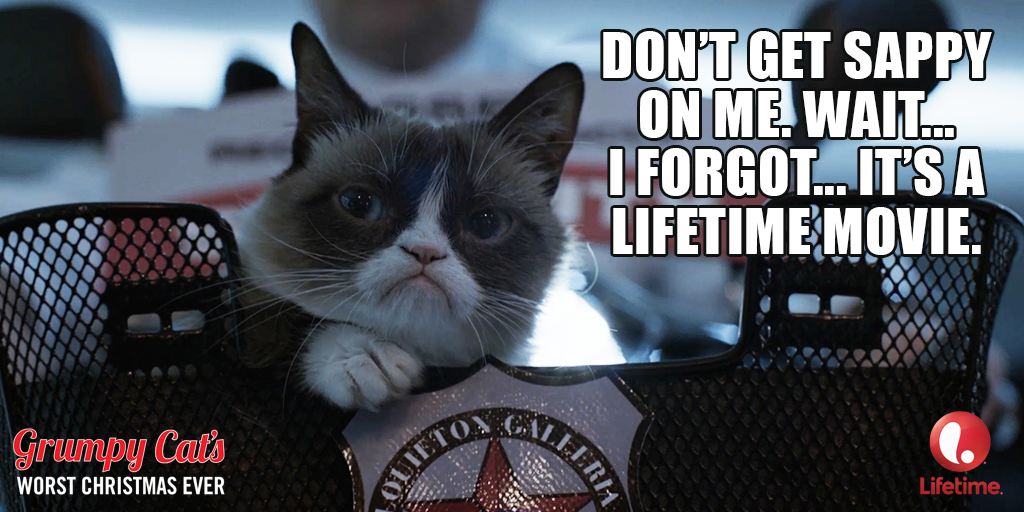 RealGrumpyCat tweet picture