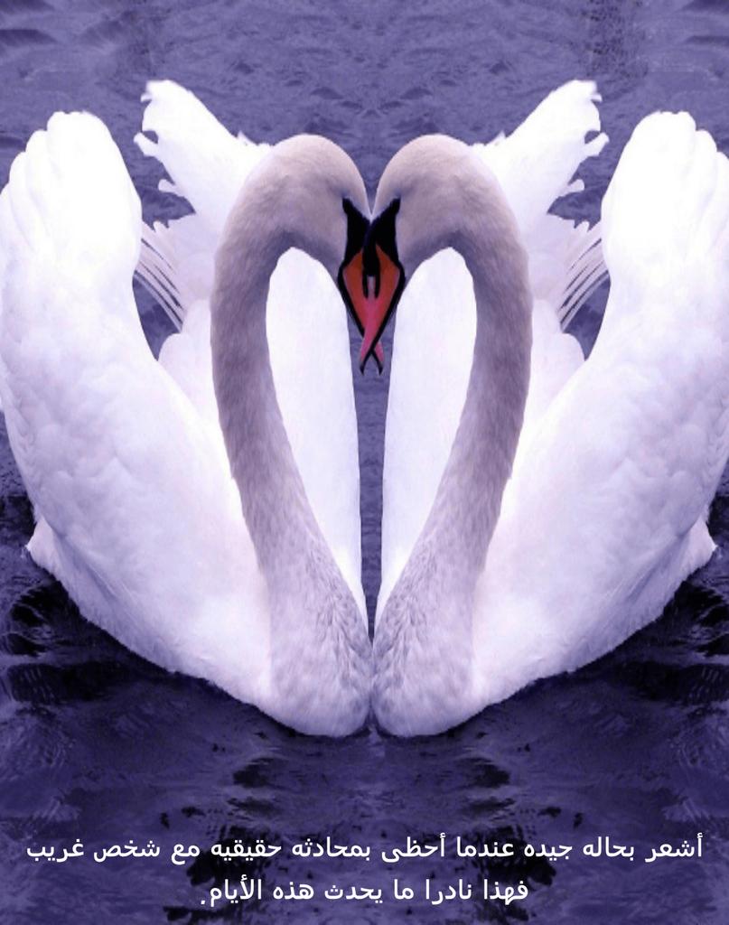 KTest89 tweet picture