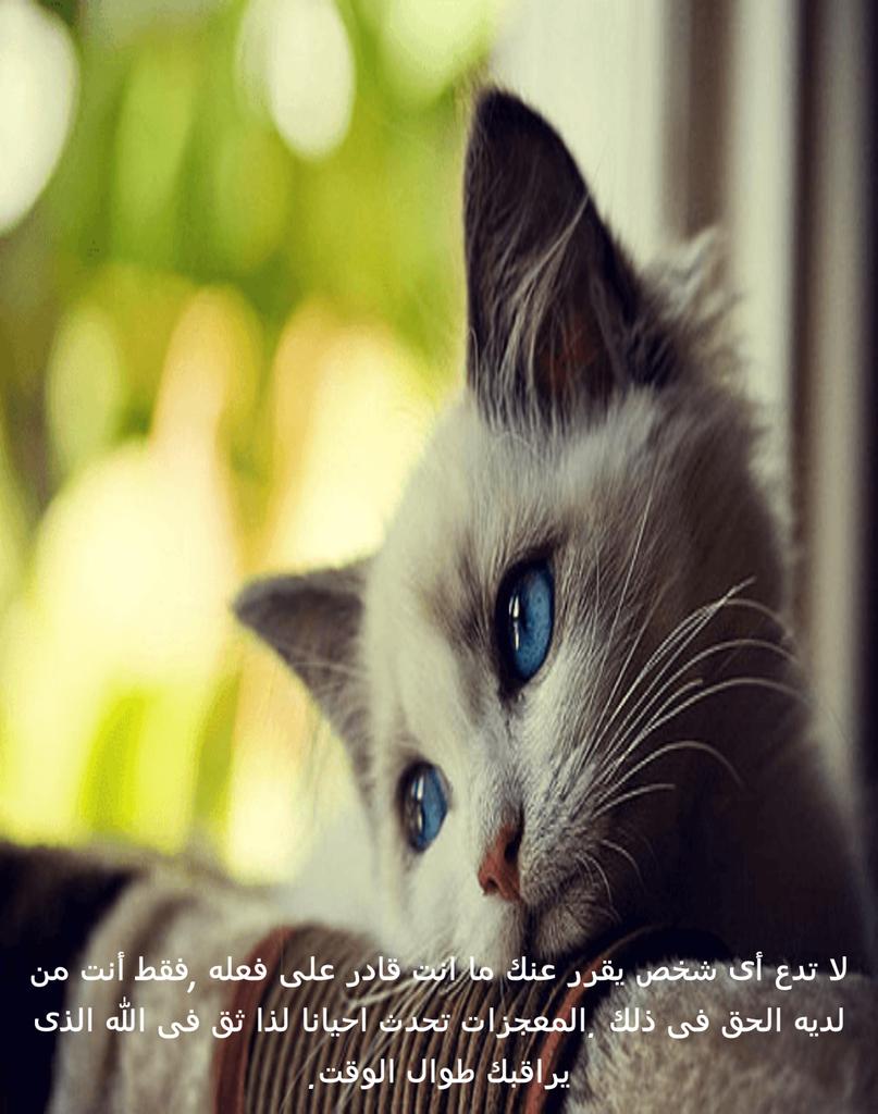 KTest89 tweet picture