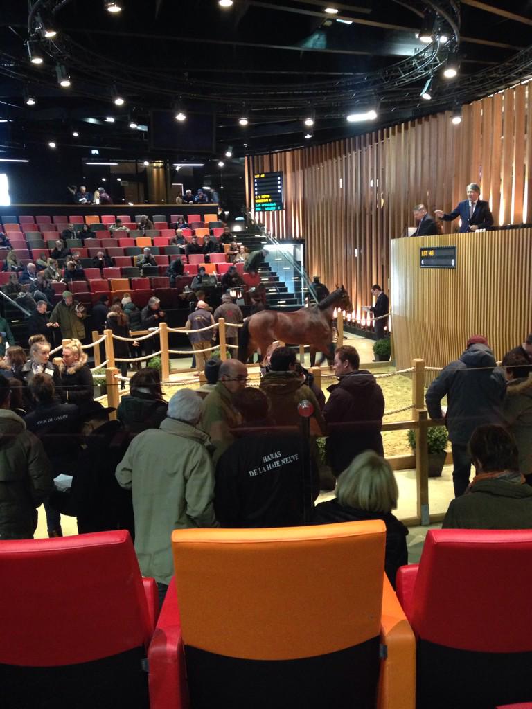 Tmelou's tweet photo. En place pour les ventes @InfoArqana @francesire #Deauville http://t.co/vGRG0qL2U9