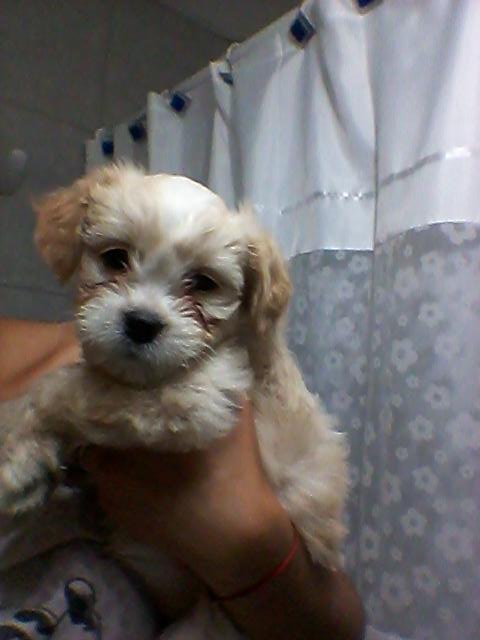 MiCaaela5's tweet photo. Hermoso http://t.co/VBc9ZHiITc
