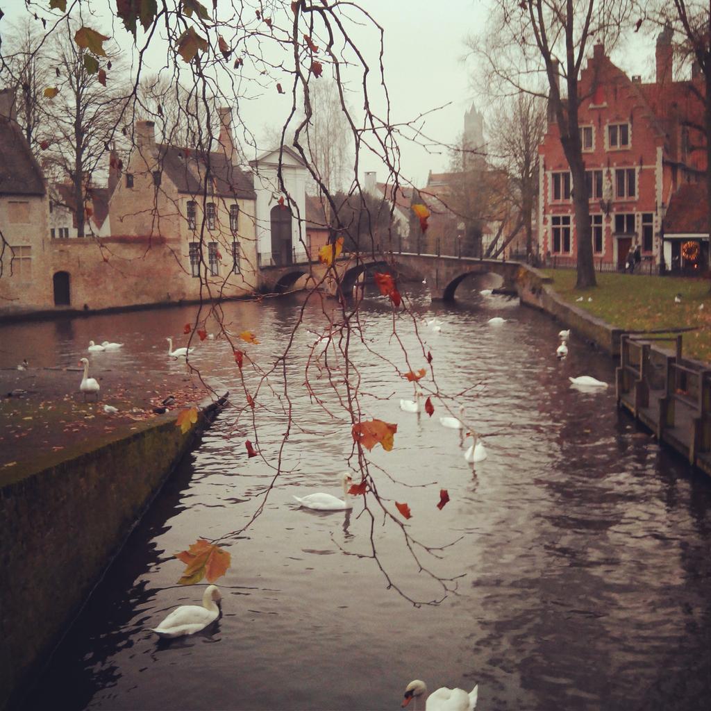 nuriaarojo's tweet photo. "@Defreds: Amanece en Brujas y nos vamos a Gante. Buenos días. http://t.co/WTITnTGRl4" @AnaBJorquera @CarmenBals @6Ainhoa @1TaniaMartnez9
