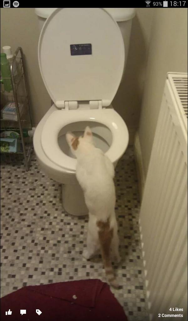 Grace Emily Olney tweet media