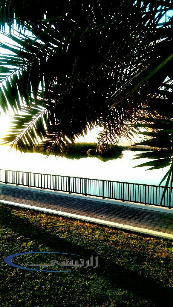 busultan2002's tweet image. #بحيرة#كلباء