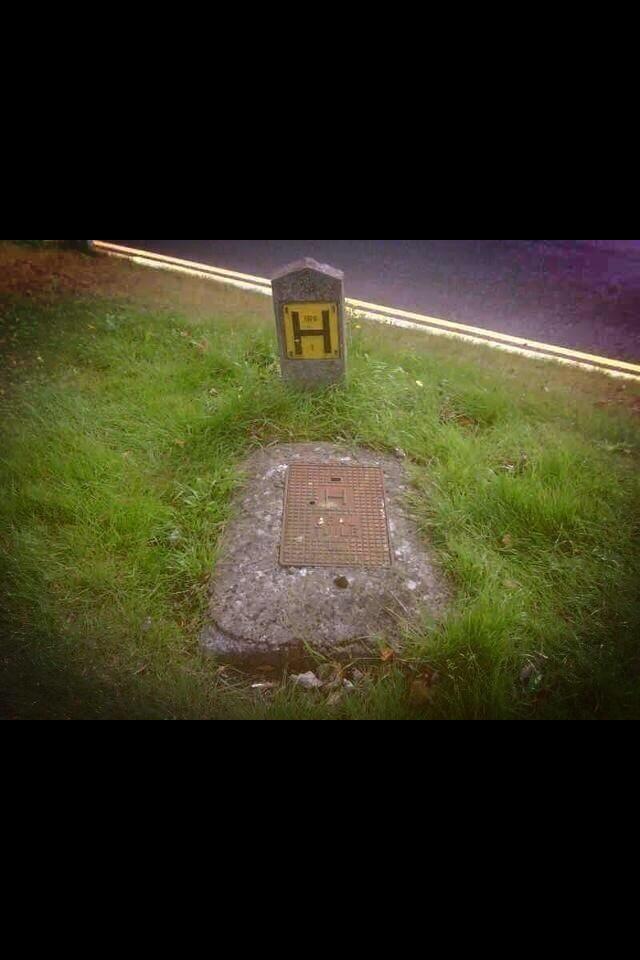 Stafford96Aaron's tweet photo. RIP H. You were a sound chap. You'll be missed bud http://t.co/QH4NlH5fdZ