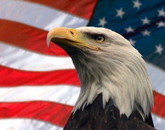 CloydRivers's tweet photo. Are you free this weekend?

*gazes into distance*
*sheds single tear*
*bald eagle screeches*

I'm always free.
Merica http://t.co/MrRHMvhDGN