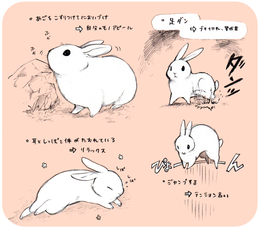 井口病院 على تويتر うさぎボスしぐさ Http T Co 9efqeicxky