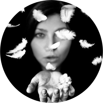 José Hoppenbrouwer tweet media