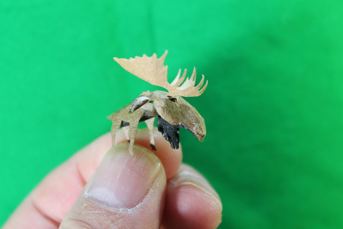 Embedded image permalink