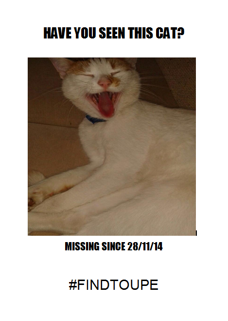 Grace Emily Olney tweet media