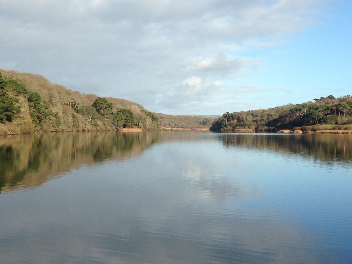 Photo from #loebar of #loepool this morning, out with @Walkkernow, @Cornwall_Today