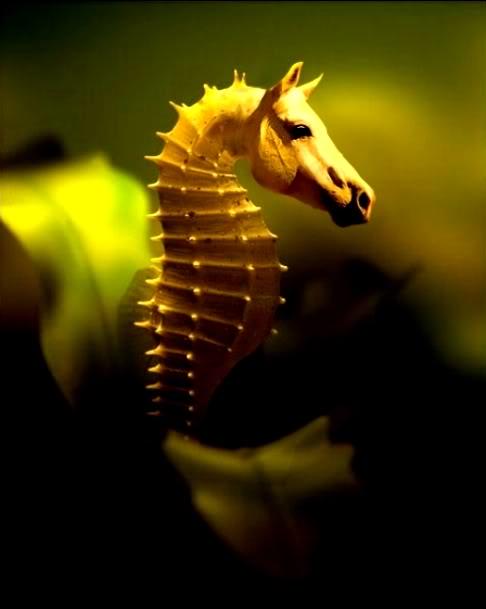 Permalien de l'image intégrée