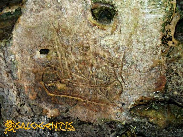 Salogentis's tweet photo. http://t.co/EvLlNmJu5z L'antico tempio del mare.S.Cristoforo @GeoDataService @AlcaMaglie @LoveArchaeology @puglia http://t.co/YbaYdRVKZV