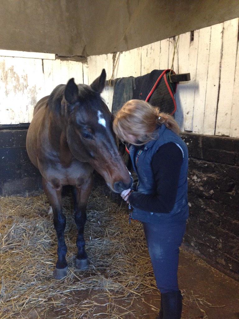 SideSaddleRider's tweet image. Patch loved his massage from @EquinityUK #chilledout