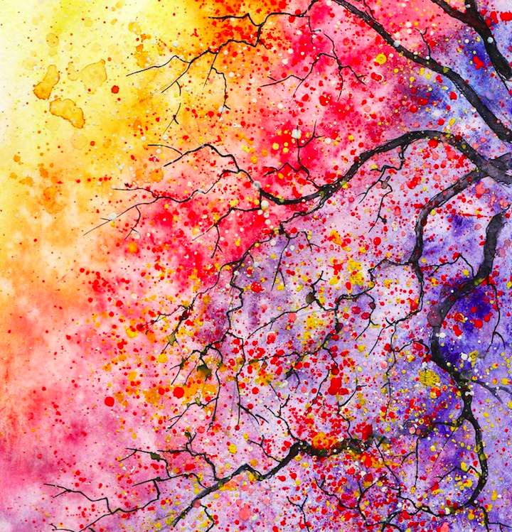 B4Lh2XKCUAMGqR_.png:large